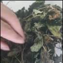 질경이농장2 이미지