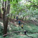 강화읍-6 이미지