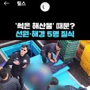 [국내이슈] 썩은 해산물 때문? 선원 해경 질식... 이미지