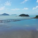 자은도에서 이미지