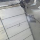 해동카센타 이미지