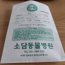 소담동물병원 네이버블로그