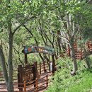 입화산 제2오토야영장 이미지