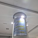 피알리아