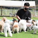 익산애견테마파크 이미지