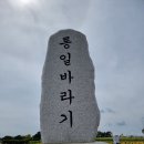 9월11일(월) 추석명절연휴에 해바라기축제 호로고로성에서 이미지