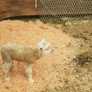 주주목장 이미지