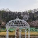 식물병원푸름팜 | 강동 아기랑 봄나들이 가기 좋은 | 파믹스가든 팜카페 주차 모래놀이