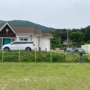 호반애견훈련소 이미지