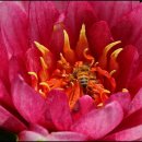 남생이못 이미지