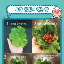 명품보쌈 이미지