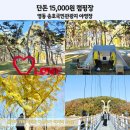 송호관광지 | 단돈 15,000원 가을 단풍 가득한 영동 송호국민관광지 야영장