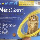 태평양온누리약국 이미지