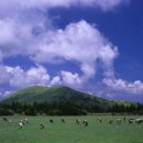 (주)제주도닷컴