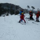 대마초등학교 이미지