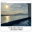 아일랜드 스토리 펜션 | 여수 돌산펜션 수영장 숙소 오션뷰 포토존 가득한 스톤아일랜드 디럭스 후기