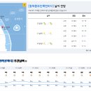 2023년 1월 20일(금요일) 09:00 현재 대한민국 날씨정보 및 기상특보 발표현황 (울릉도, 독도 포함 - 기상청발표) 이미지