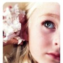 더(THE)빨강 이미지