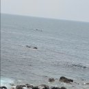 일오삼목장 이미지