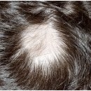 도트바이림 이미지