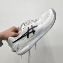 비트로스포츠 | 아식스 젤 레졸루션 9, 젤 레졸루션 X 4개월 실착 후기(비트로 수성점)