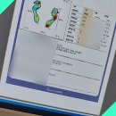 손끝에서 피어나는 네일아트 | 당신의 손끝에서 피어나는 아름다움: 네일 아트의 모든 것