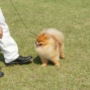 안성연수원 이미지