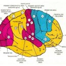 광양한의원 이미지