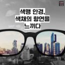 &#39;색맹 안경&#39;의 비밀 이미지