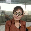 흥천체육공원 Daum카페