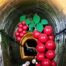 테마 애견 | 문경 오미자 테마 터널 아이랑 애견동반 주차 입장료 소요시간 후기