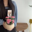 구미꽃집 마음을담다 어버이날 카네이션 화분 후기 (부모님 반응 최고였어요)