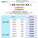 부산고속투어