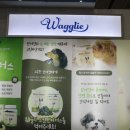 주식회사 호성로고스 이미지