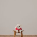 추억플러스 | 📸💛 천안가족사진 찍기 좋은 불당동가족사진 명소 | 천안셀프사진관 후기🤰✨