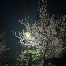 청수호수공원주차장 이미지
