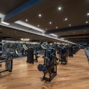 자마이카 피트니스 이미지