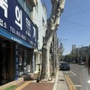 신정문약국 이미지