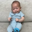 귀여운아기 | 임신선물 출산선물 아기선물로 추천하는 귀여운 아기양말 삐빠베이비 트럼펫 양말 후기