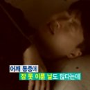 팀타이거짐 이미지