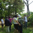 이목중학교 이미지