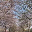 나눔방문요양센터 이미지