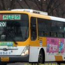 비아119안전센터 이미지