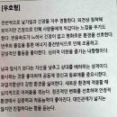 솔직하고 쉽게 쓰는 나만의 이야기 | 나의 성격을 들여다보는 LCSI 성격 검사 후기