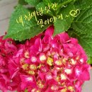 동산9세천 이미지