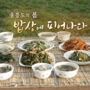 한국인의밥상 이미지