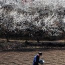 씨앗농부 이미지