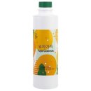스위트