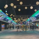 츠키젠 | 마곡 원그로브 카츠 맛집 [츠키젠] 치즈카츠 내돈내산 후기