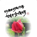 참솔에너지 네이버블로그
